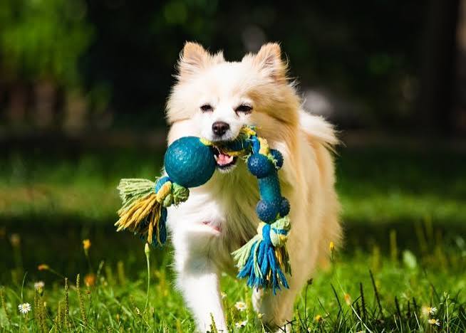 Active Enrichment